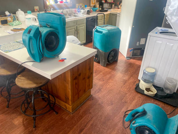 Best Water damage restoration near me  in Seven Mile, AZ