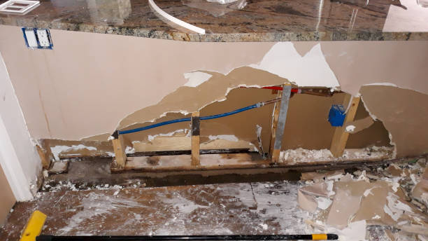 Best Water damage restoration experts  in Seven Mile, AZ