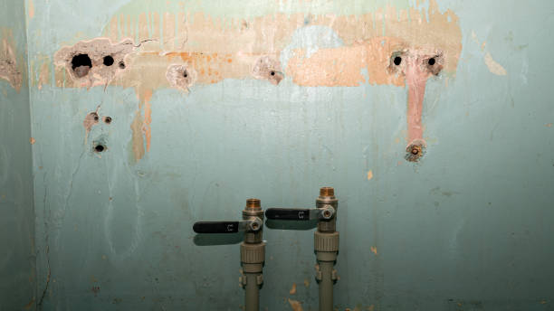 Best Water damage contractors near me  in Seven Mile, AZ