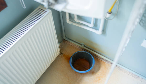 Best Professional water damage repair  in Seven Mile, AZ