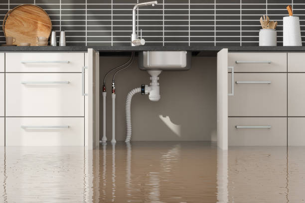 Best Basement water damage restoration  in Seven Mile, AZ