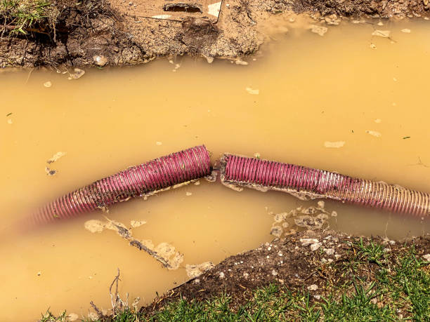 Best Water damage restoration near me  in Seven Mile, AZ