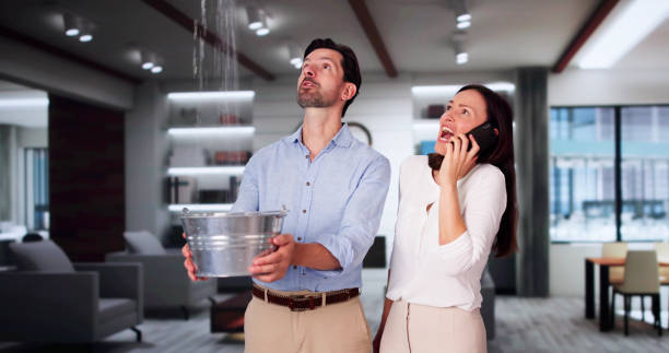 Best Flood restoration services  in Seven Mile, AZ